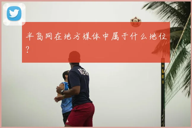 半岛网在地方媒体中属于什么地位？