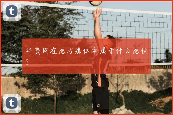 半岛网在地方媒体中属于什么地位？