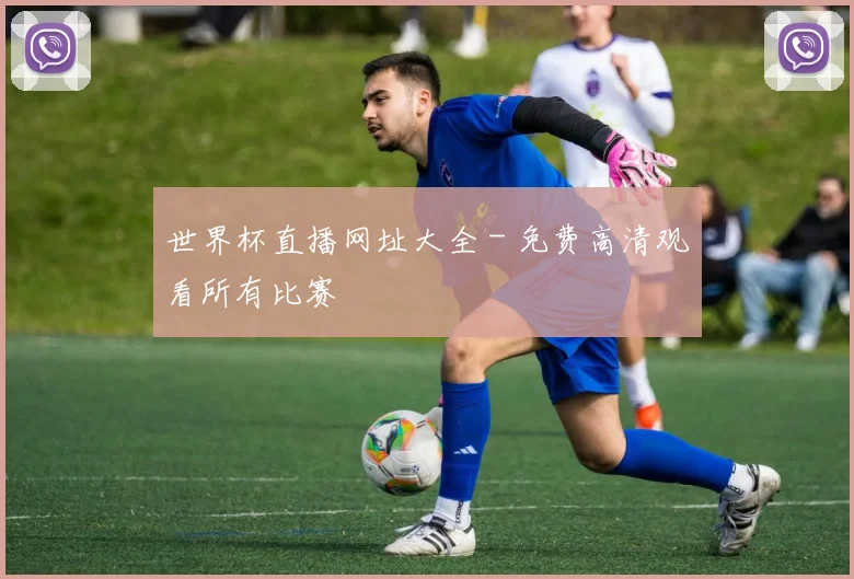 世界杯直播网址大全 - 免费高清观看所有比赛