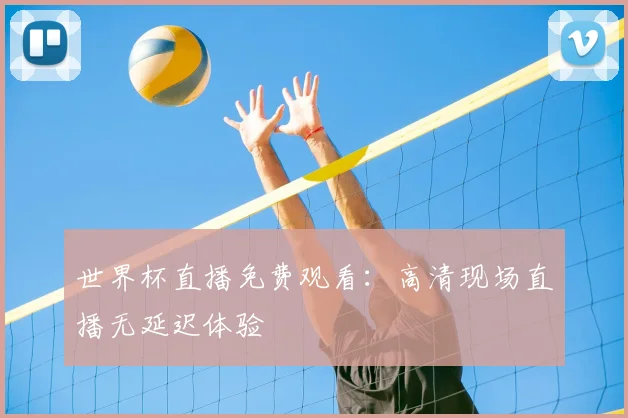 世界杯直播免费观看：高清现场直播无延迟体验